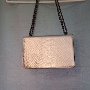 Chic Silver Crossbody Bag